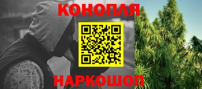 сатива Камышлов