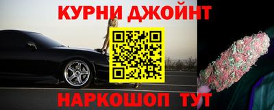 сатива Камышлов