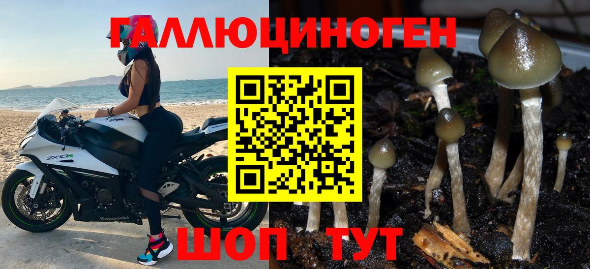 Псилоцибиновые грибы GOLDEN TEACHER  Псилоцибиновые грибы MAGIC MUSHROOMS  Вход с VPN  Красноярск 